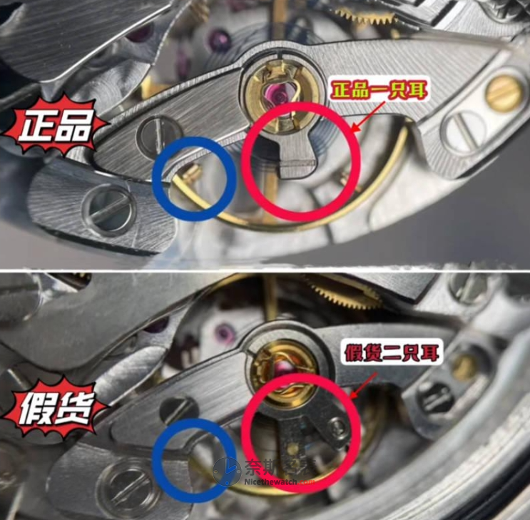 新手如何辨别劳力士3235机芯真假？一图告诉您！ | 奈斯探表