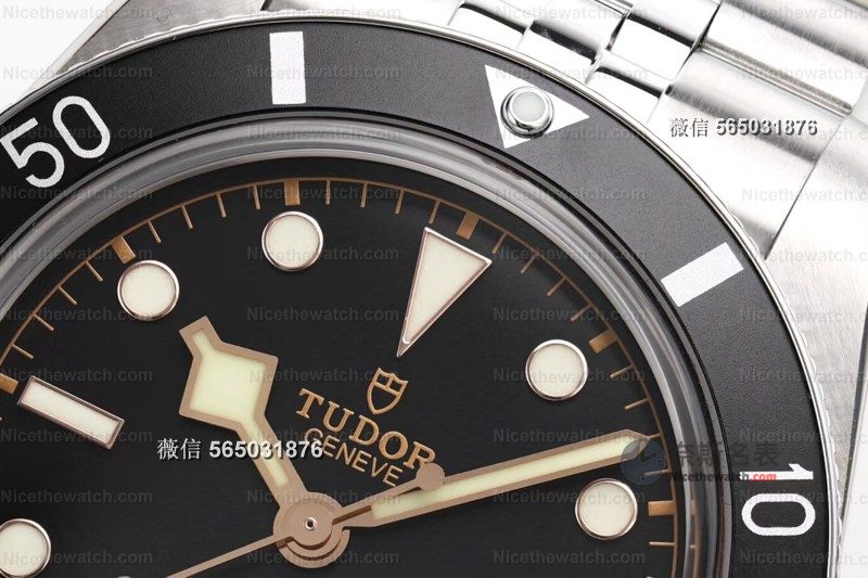 ZF厂帝舵碧湾54型实测：37mm小表径+海鸥2824，这款复古潜水表真的香！ | 奈斯探表